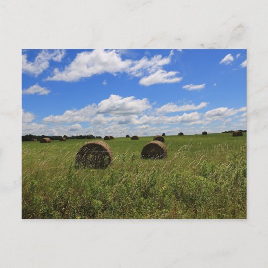 Die Steine des Sommers Postkarte (Vorderseite)