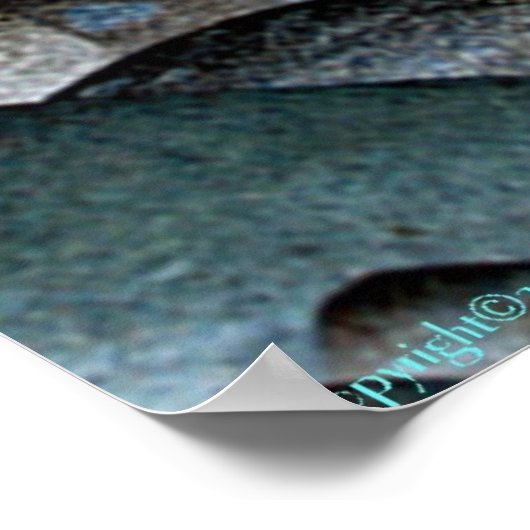 Die Steine, die Sie tragen Poster (Ecke)