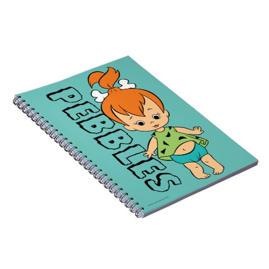 Die Steine | Kies Flintstone Notizblock (Rechte Seite)