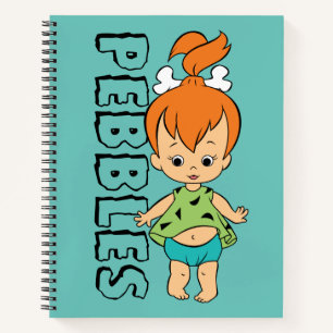 Die Steine   Kies Flintstone Notizblock