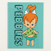 Die Steine | Kies Flintstone Planer (Vorderseite)