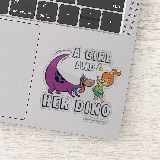 Die Steine | Kies und Dino-Play-Ball Aufkleber (Detail)