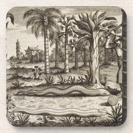 Die Steinschlange, "von der China illustriert" Getränkeuntersetzer (Vorderseite)