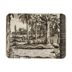 Die Steinschlange, "von der China illustriert" Magnet