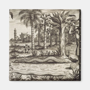 Die Steinschlange, "von der China illustriert" Magnet