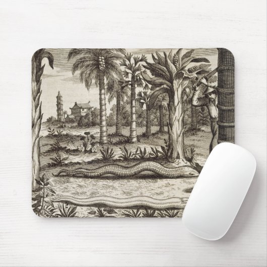 Die Steinschlange, "von der China illustriert" Mousepad (Mit Mouse)