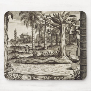 Die Steinschlange, "von der China illustriert" Mousepad