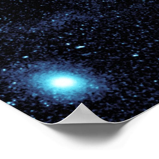 Die Stern-Mira mit blühendem Schwanz Poster (Ecke)