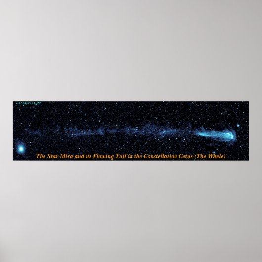 Die Stern-Mira mit blühendem Schwanz Poster (Vorne)