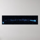 Die Stern-Mira mit blühendem Schwanz Poster (Vorne)