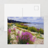 Die Stille von Vormsi Postkarte (Vorne/Hinten)