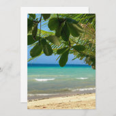 Die Strandlandschaft. Philippinen. Moalboal. Der w Einladung (Vorne/Hinten)