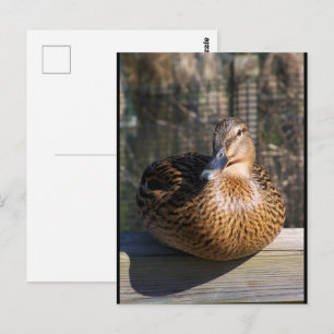 Die Strandpromenade Schönheit Postkarte