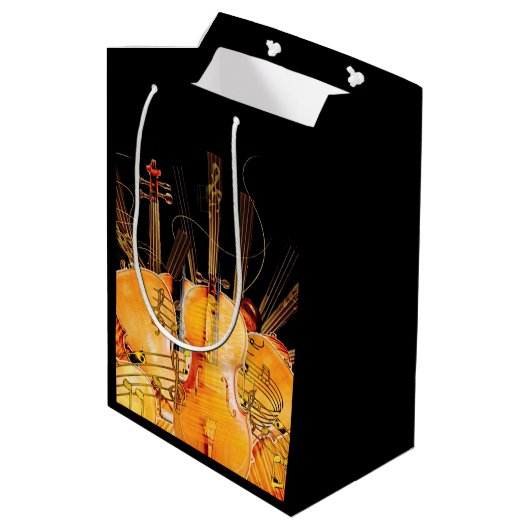 DIE STRÄNGE DER SONNE MITTLERE GESCHENKTÜTE (Rückseite Schrägansicht)