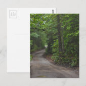 Die Straße im Sommer Postkarte (Vorne/Hinten)