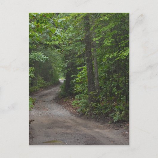 Die Straße im Sommer Postkarte (Vorderseite)