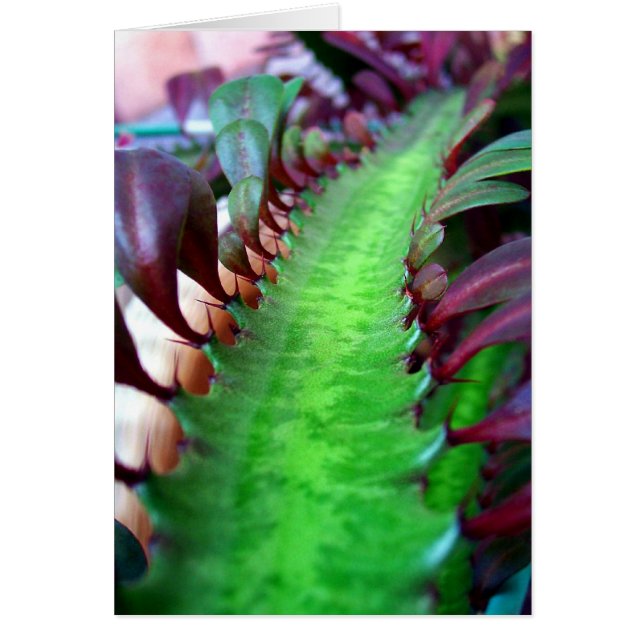 Die Straße ist weniger gereist (Vorne)