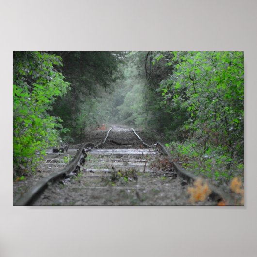 Die Straße ist weniger gereist Poster (Vorne)