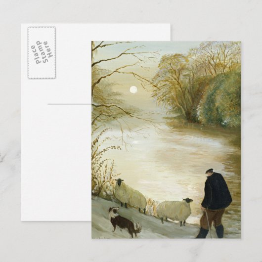 Die Stray Sheep Postkarte (Vorne/Hinten)