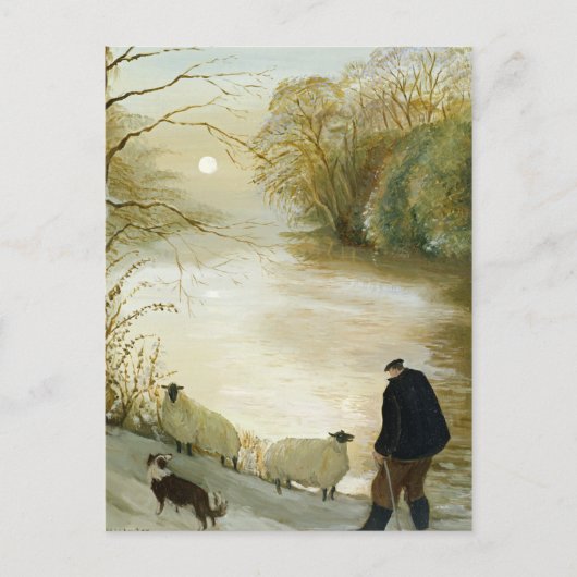 Die Stray Sheep Postkarte (Vorderseite)