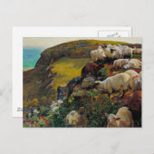 Die Strayed Sheep Postkarte (Vorne/Hinten)