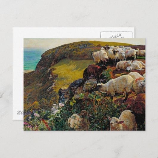 Die Strayed Sheep Postkarte (Vorne/Hinten)