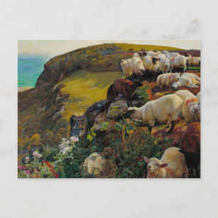 Die Strayed Sheep Postkarte