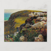 Die Strayed Sheep Postkarte (Vorderseite)
