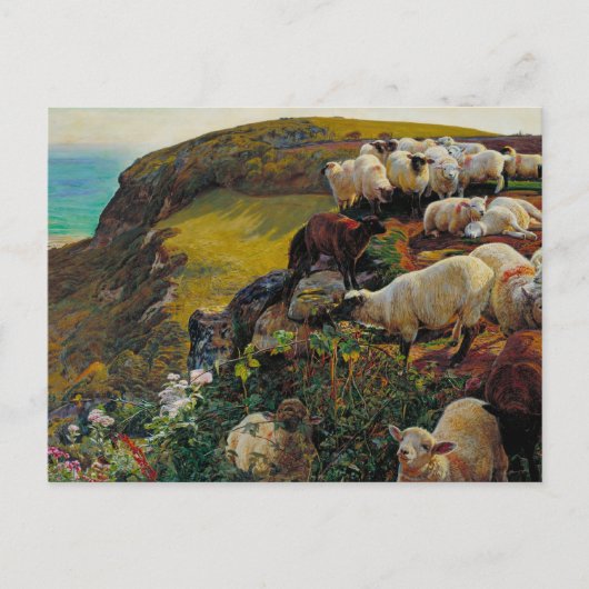 Die Strayed Sheep Postkarte (Vorderseite)