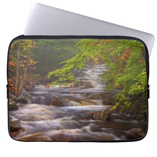 Die Ströme entlang des Appalachian Trail Laptopschutzhülle (Vorderseite)