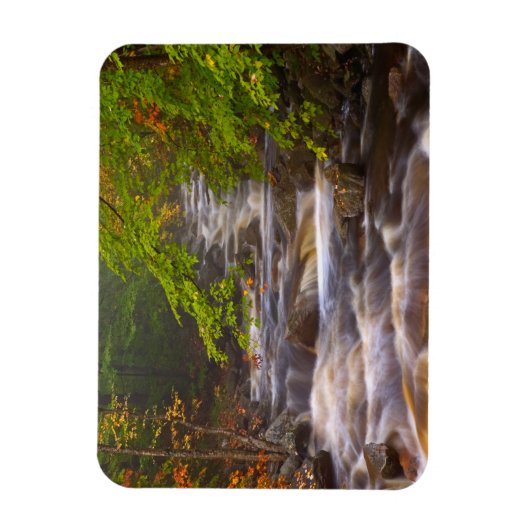 Die Ströme entlang des Appalachian Trail Magnet (Vertikal)