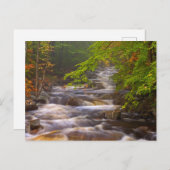Die Ströme entlang des Appalachian Trail Postkarte (Vorne/Hinten)
