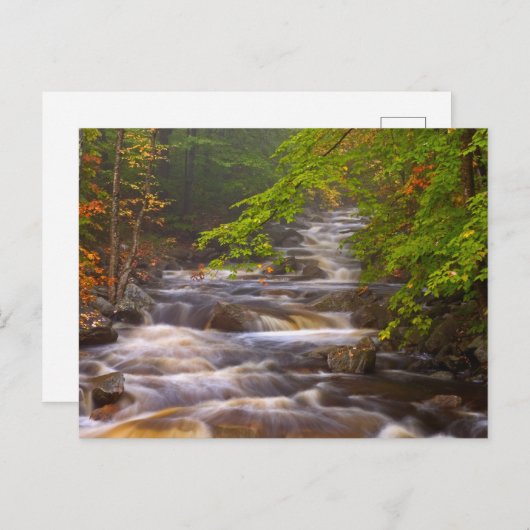 Die Ströme entlang des Appalachian Trail Postkarte (Vorne/Hinten)