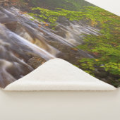 Die Ströme entlang des Appalachian Trail Sherpadecke (3/4)