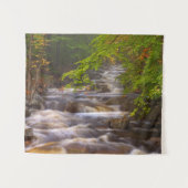 Die Ströme entlang des Appalachian Trail Wandteppich (Vorderseite (Horizontal))