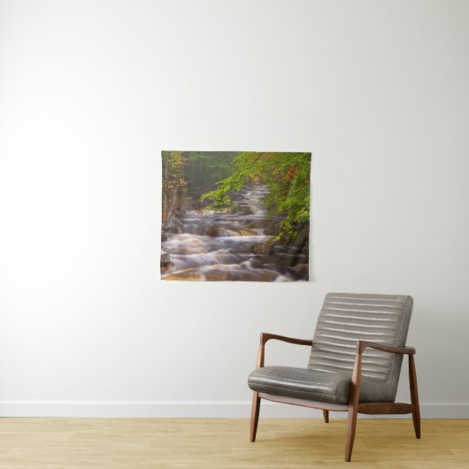 Die Ströme entlang des Appalachian Trail Wandteppich (Beispiel (Horizontal))