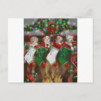 Die Strümpfe waren Hung Postkarte