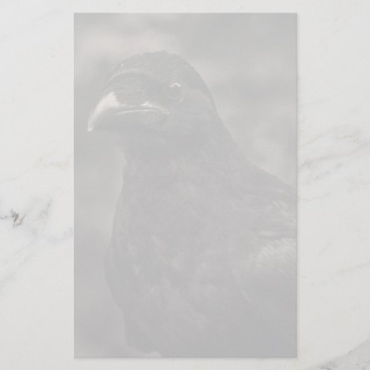 Die Suche Briefpapier (Vorderseite)