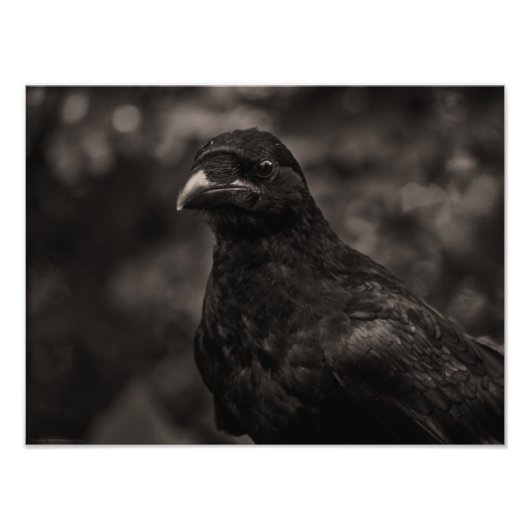 Die Suche Fotodruck (Vorne)