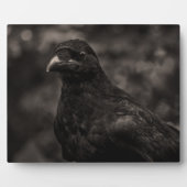 Die Suche Fotoplatte (Vorderseite)