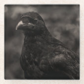 Die Suche Glasuntersetzer (Vorderseite)