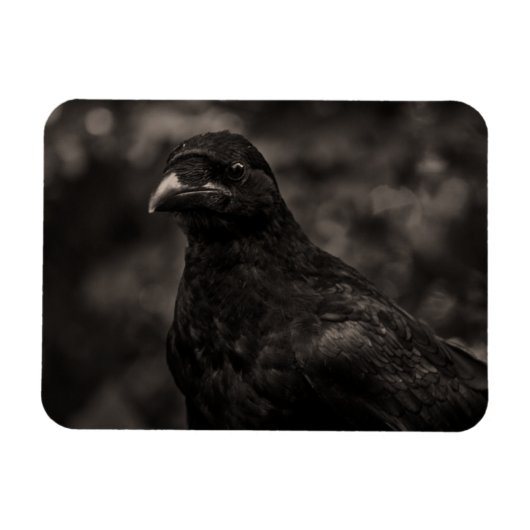 Die Suche Magnet (Horizontal)