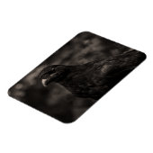 Die Suche Magnet (Linke Seite)