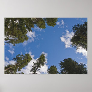 Die Suche nach dem Himmel Poster