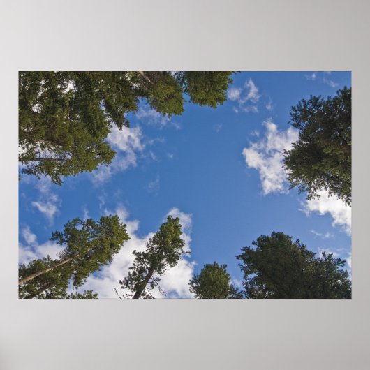 Die Suche nach dem Himmel Poster (Vorne)