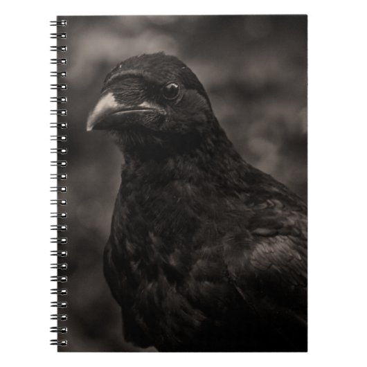 Die Suche Notizblock (Vorderseite)