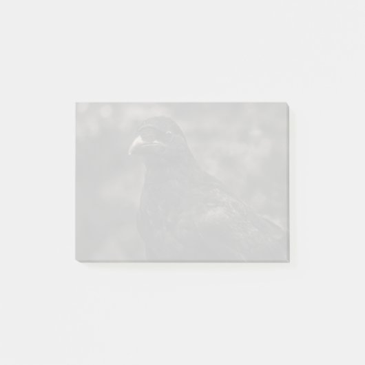 Die Suche Post-it Klebezettel (Vorderseite)