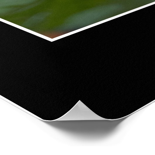 Die Suche Poster (Ecke)