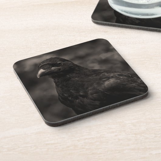 Die Suche Untersetzer (Linke Seite)