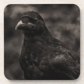 Die Suche Untersetzer (Vorderseite)